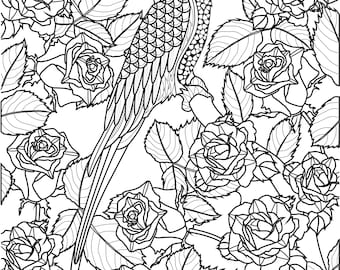 Adult Coloring Page Parrot and Flowers