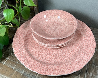 Staffordshire チャイニーズローズプレート 25cm2枚セット P0000574841S000000754280T1.jpg