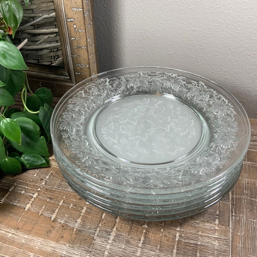 Six (6) Princess House 10” FANTASIA Dinner Plates Floral With Frosted