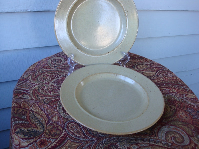 Mikasa Malibu Canyon Rimmed Luncheon Plates!