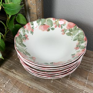Seven (7) Nikko PRECIOUS Soup / Salad / Cereal Bowls - Pink Rose Garden - Designed by Dena