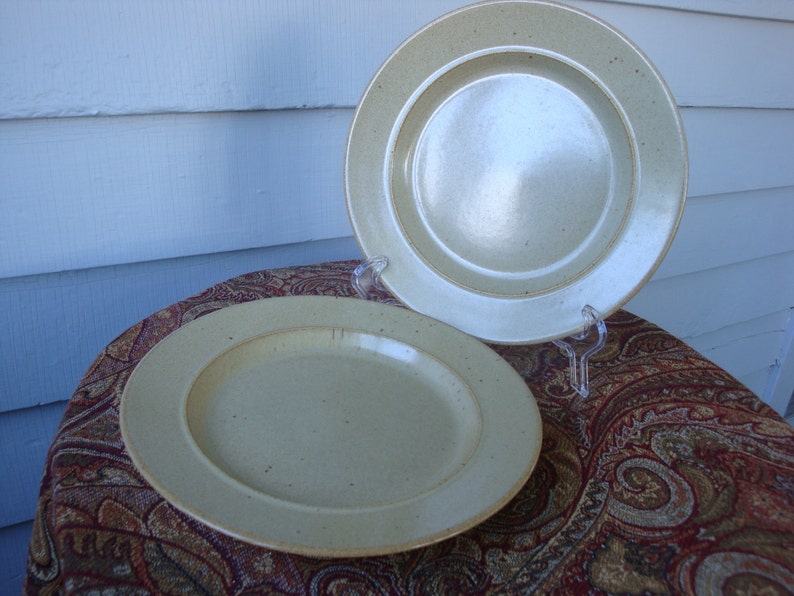 Mikasa Malibu Canyon Rimmed Luncheon Plates!