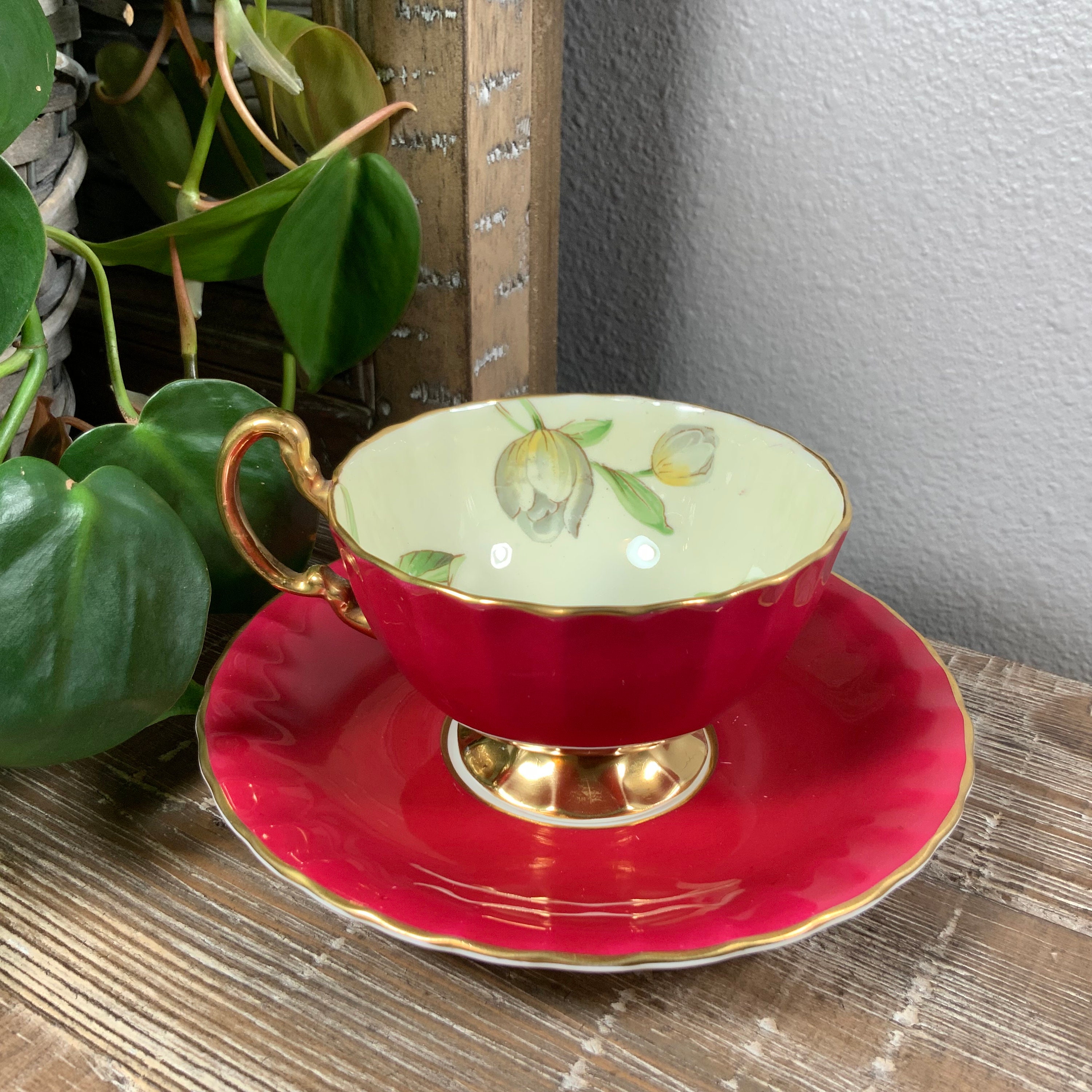 Aynsley Maroon C1048 Footed Tea Cup and Saucer Set - Flowering