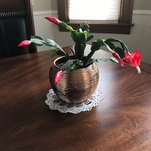 Brushed Gold Blown Art Glass Planter!
