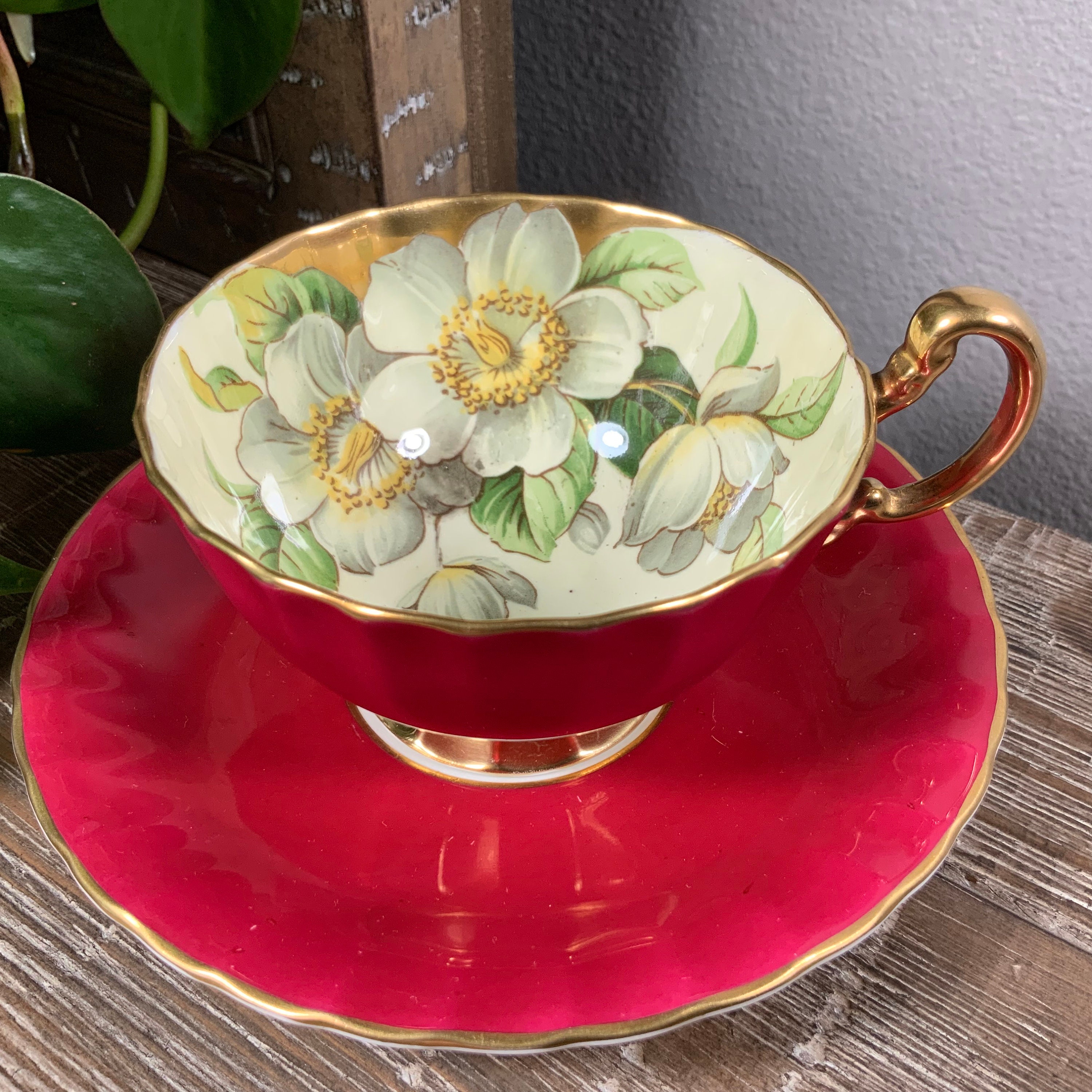 Aynsley Maroon C1048 Footed Tea Cup and Saucer Set - Flowering