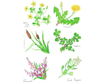 Jadalny ogród - pobieranie cyfrowe, szkółka ogrodowa, francuskie kwiaty szkółkowe, ogród, wydruk botaniczny, sztuka akwarelowa, wystrój natury, las