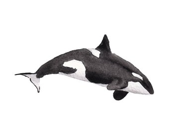 Orca 2- watercolor whale digital download ocean nursery nautical whale animal art animal watercolor children's art nautical nurdery