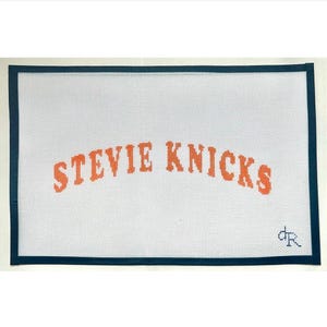 May include: A rectangular needlepoint canvas featuring a white grid background with a dark blue border. The text STEVIE NICKS is stitched in orange in the center, and the small initials dR are stitched in dark blue in the bottom right corner.