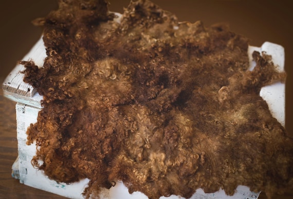 Nest of Curls Blanket Curly Felted Blanket Layer Newborn Photography Props Wool Stuffer Curly Felt CHOCOLATE DREAM