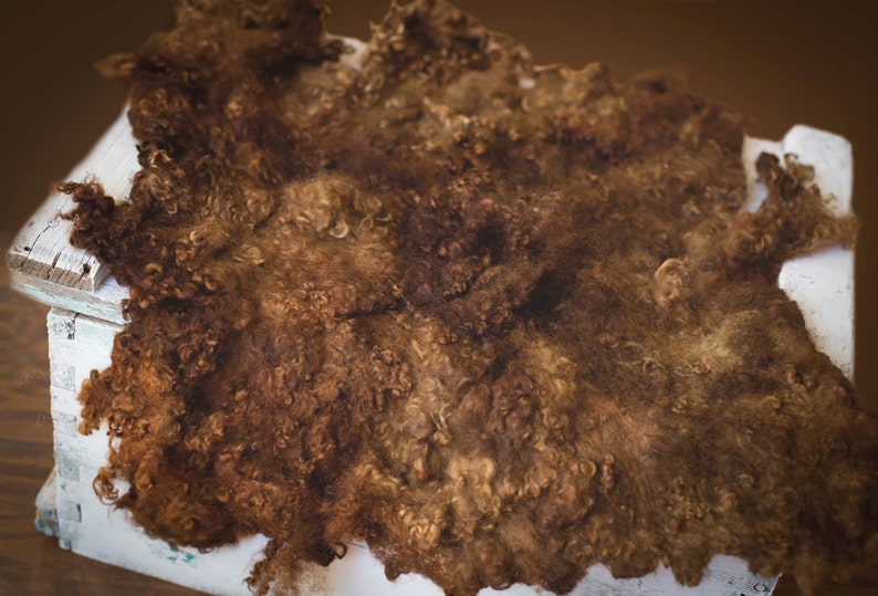 May include: A brown curly sheepskin rug with a soft, fluffy texture. The rug is laid out on a white surface.