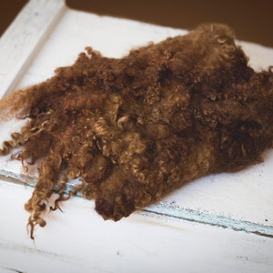 May include: A pile of brown curly sheep wool on a white wooden surface.