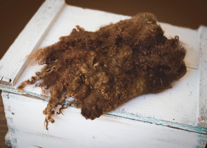 May include: A pile of brown curly sheep wool on a white wooden surface.