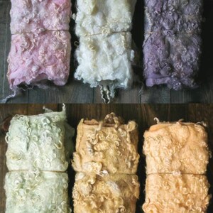 May include: Six different colors of curly sheep wool, each rolled up and tied with twine. The colors are pink, white, purple, green, yellow, and orange.