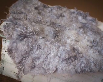 Nest of Curls Blanket Curly Felted Blanket Layer Newborn Photography Props Wool Stuffer Curly Felt SILVER GREY