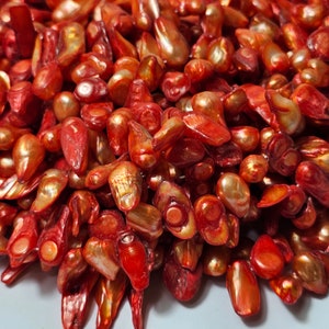 Peut inclure: Gros plan sur un tas de perles de coquillage irisées rouge et orange. Les perles sont lisses et ont une finition nacrée.