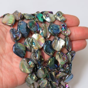 14~18mm Shell Beads - 16" Strand
