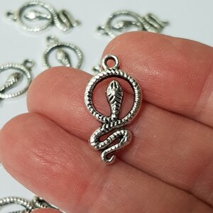 May include: Silver charm featuring a snake coiled around a circle. The snake has a raised head and a detailed, textured body.