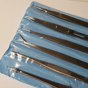 Può includere: Un set di sei pinzette in acciaio inossidabile in una custodia di plastica blu. Le pinzette sono disposte in file, con le punte delle pinzette rivolte verso lo spettatore.