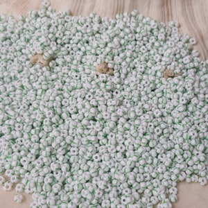 Pu&ograve; includere: Una grande quantit&agrave; di perline di semi bianche con una striscia verde attorno al centro.
