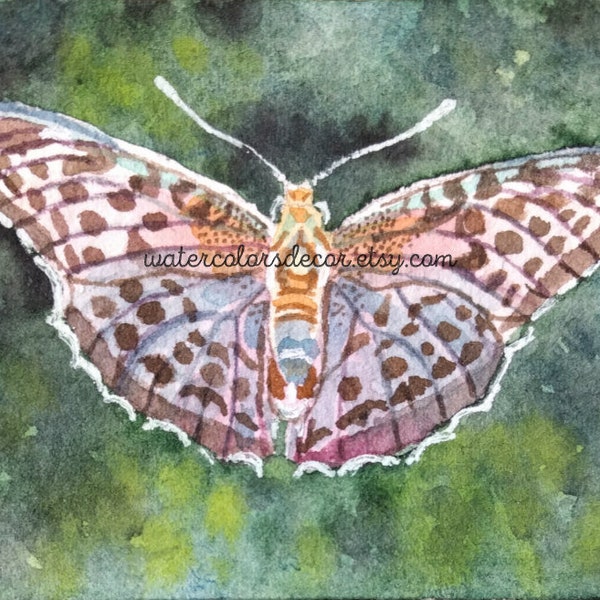 Original Silver Fritillary Butterfly Watercolor Painting Miniature 2.5 x 3.5 ACEO Insect Illustration Summer Decor Country Gray Spotted