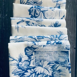 Hostess Napkins| Beverage Napkins | Tea Napkins | Lunchbox Napkins | Toile Napkins