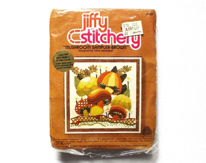 Kit De Broderie Vintage Something Special – Sampler Débutant #40160 – Scellé USA