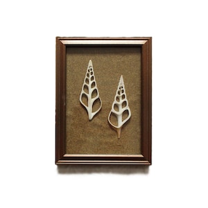 Arte de conchas marinas enmarcado, concha tibia para colgar en la pared, decoración de playa vintage