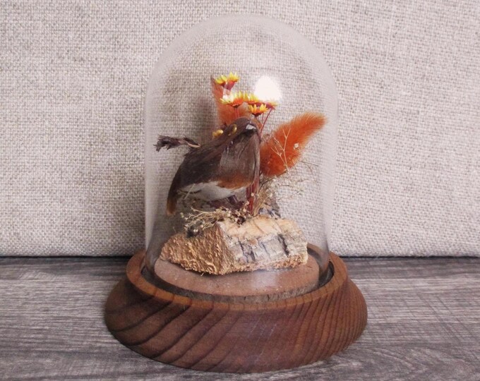 Vintage Dried Flower Dome: Glass Cloche Bird Diorama, Wood Base - Etsy