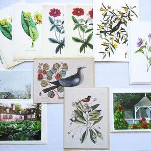 May include: A collection of rectangular greeting cards featuring various botanical illustrations of flowers, birds, and garden scenes. The cards display colorful prints of plants, a bird on a branch, a gazebo, and a house with a vegetable garden.