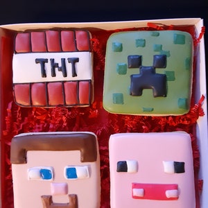 Video Game Special Cookie Gift/Minecraft themed/Favors