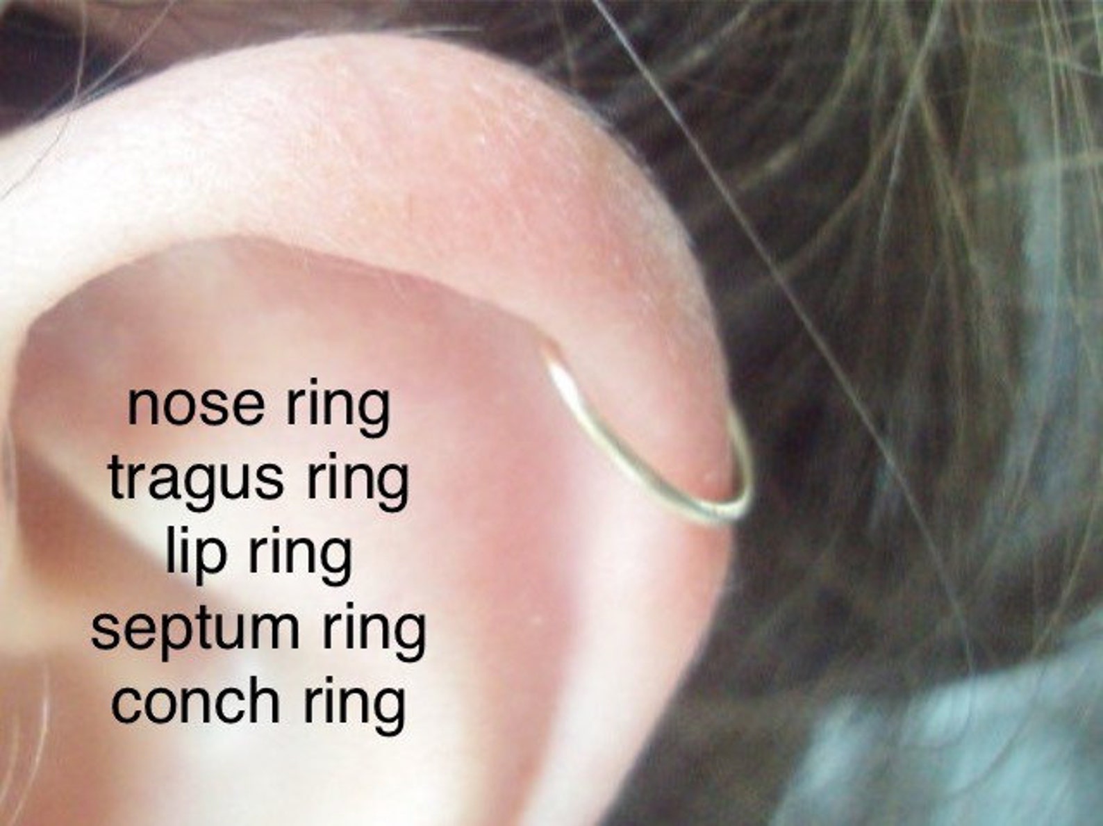 20 Gauge Nose Ring Cartilage Ring Nose Ring Septum Ring Etsy