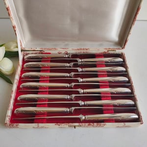 French vintage / antique set of 12 dessert / cheese knives, boxed silver plated knives, Louis XV style, circa mid century.