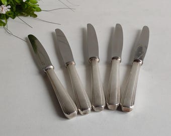 クリストフル ボレアルフィッシュセット 12人用 素晴らしい魚料理 