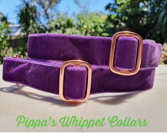 fussie cat gold label