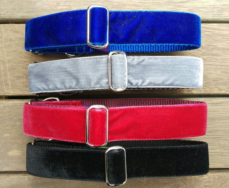 Velvet House Collar Whippet Greyhound and Small to Large Etsy Australia