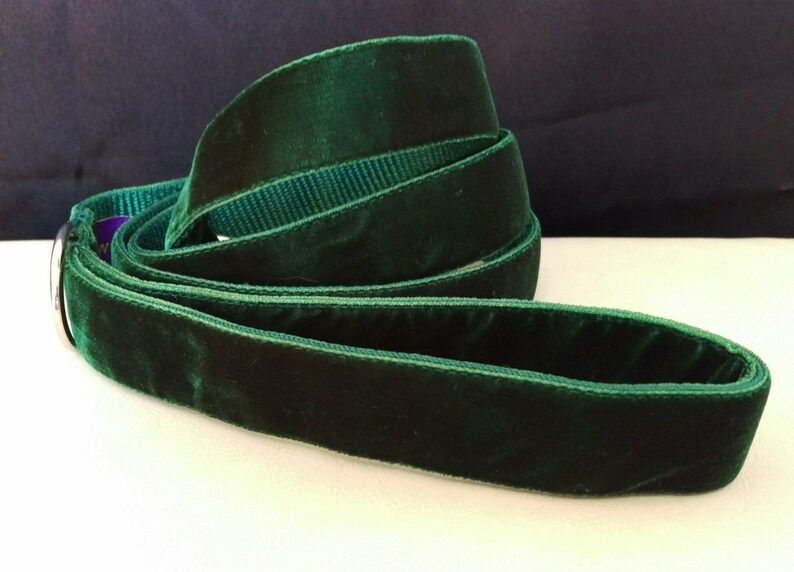 Dog Leash Velvet Forest Green image 2