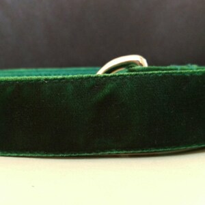 Dog Leash Velvet Forest Green image 3