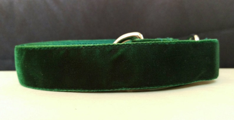 Dog Leash Velvet Forest Green image 3