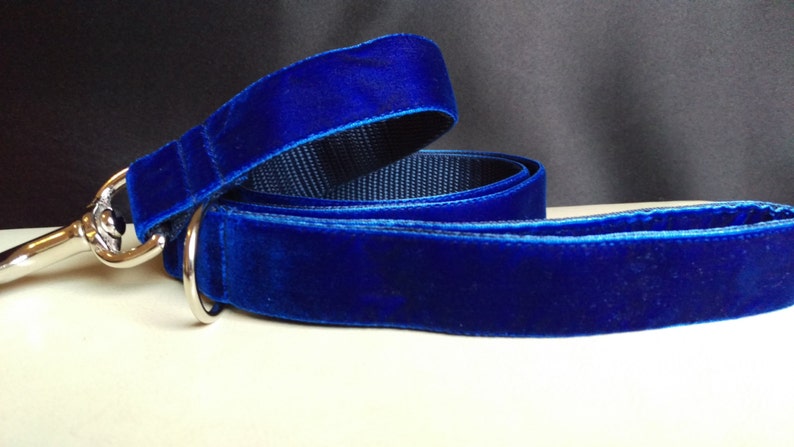 Dog Leash Velvet Blue image 3