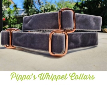 Pippas whippet collars cheap
