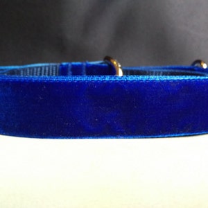 Dog Leash Velvet Blue image 2