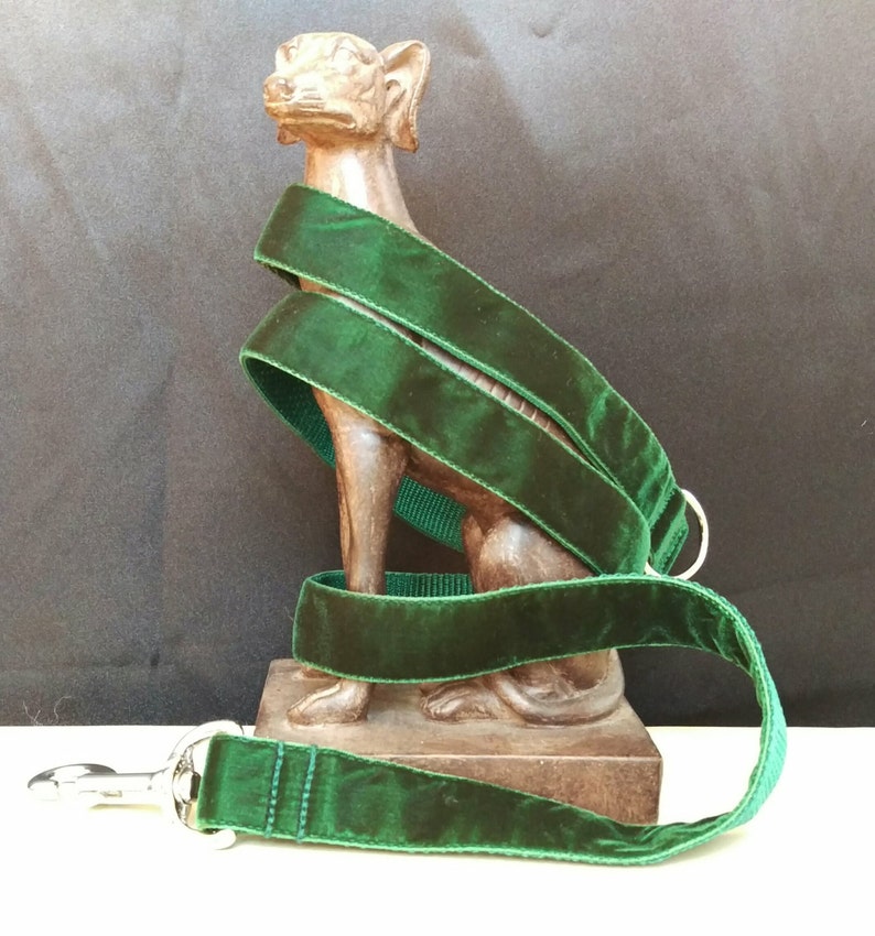 Dog Leash Velvet Forest Green image 1