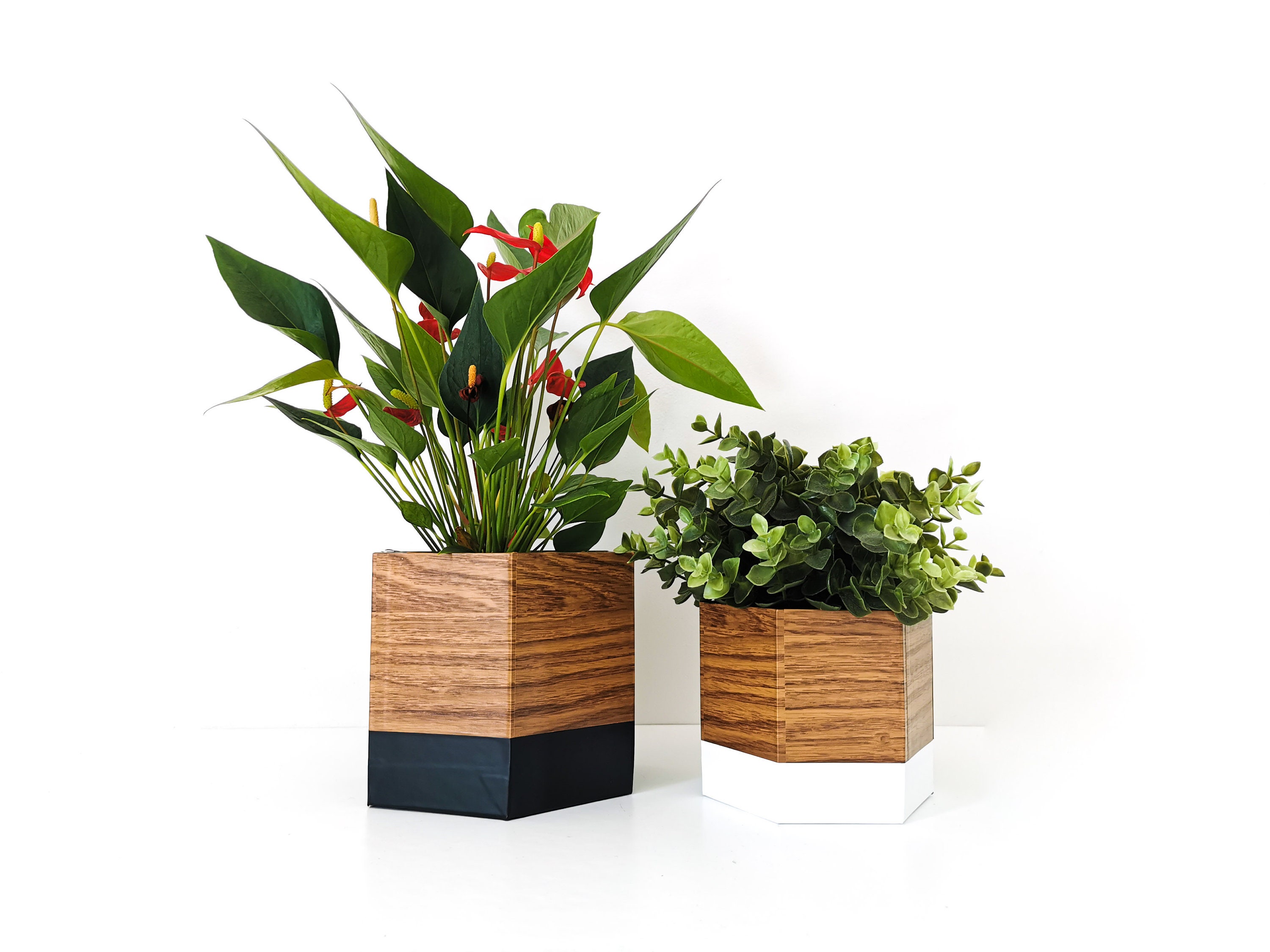 Set de Deux Caches Pot Géo Chêne, Noir et Blanc - Décoration d'intérieur Plantes Fleurs Leewalia Nat