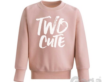 Sudadera de segundo cumpleaños para niño pequeño, jersey rosa polvoriento