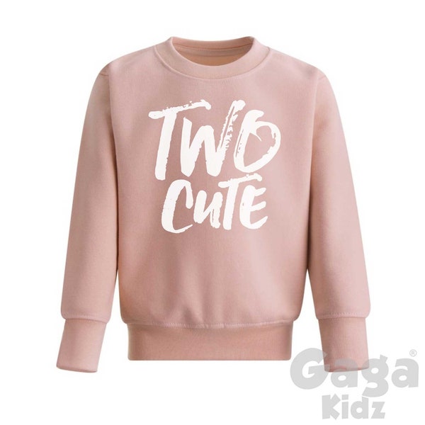 Two Cute Kids Sweatshirt in Dusty Pink Colour, Cool 2nd Birthday Party Outfit