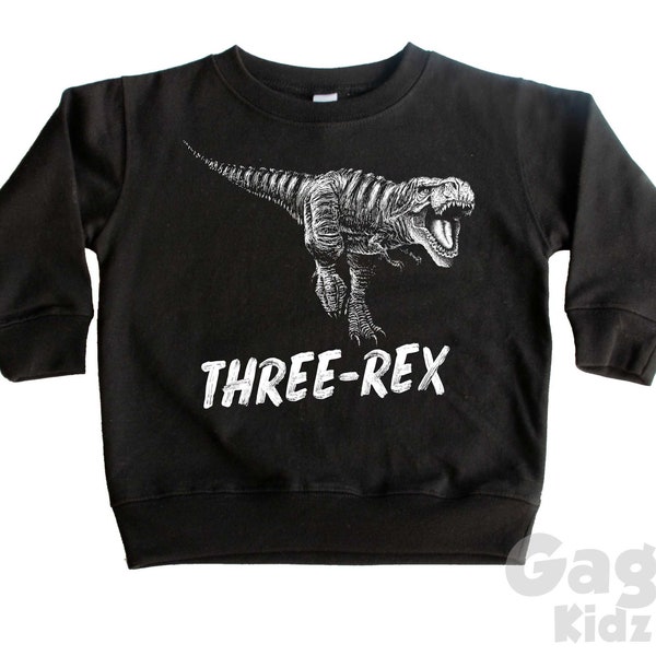 Three-Rex Kids Sweatshirt, 3rd Birthday Party Outfit, T-Rex Sweater