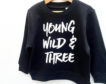 3 3 Geburtstag Junge Wild & Drei Sweatshirt
