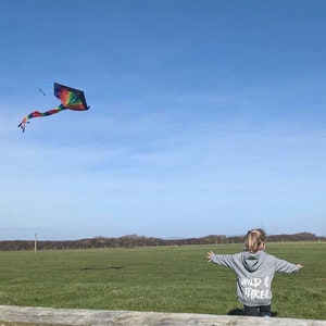 May include: A diamond-shaped kite with a rainbow-colored pattern and a long, flowing tail flying in a clear blue sky. A gray hooded sweatshirt with the white text WILD & THREE printed on the back is visible in the foreground.