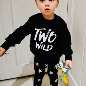 Two Wild Birthday Sweater, Toddler Sweatshirt for 2 Year Old Birthday, Kids Second Birthday Gift, Too Wild 2nd Birthday Top for Boy or Girl image 3