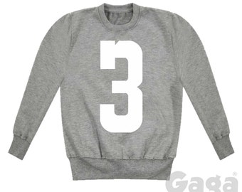 May include: Gray sweatshirt with a white number 3 printed on the front. The sweatshirt has long sleeves and a crew neck. The text "Gaga Kidz" is printed on the bottom right corner of the sweatshirt.